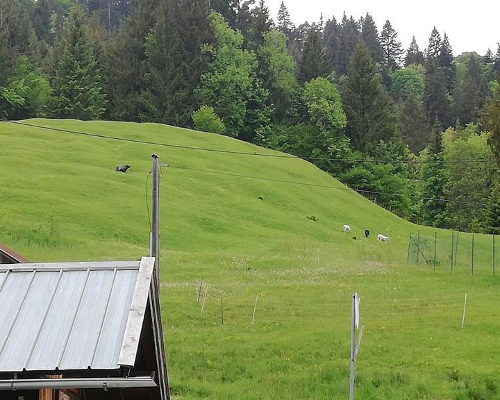 Partnach-Alm